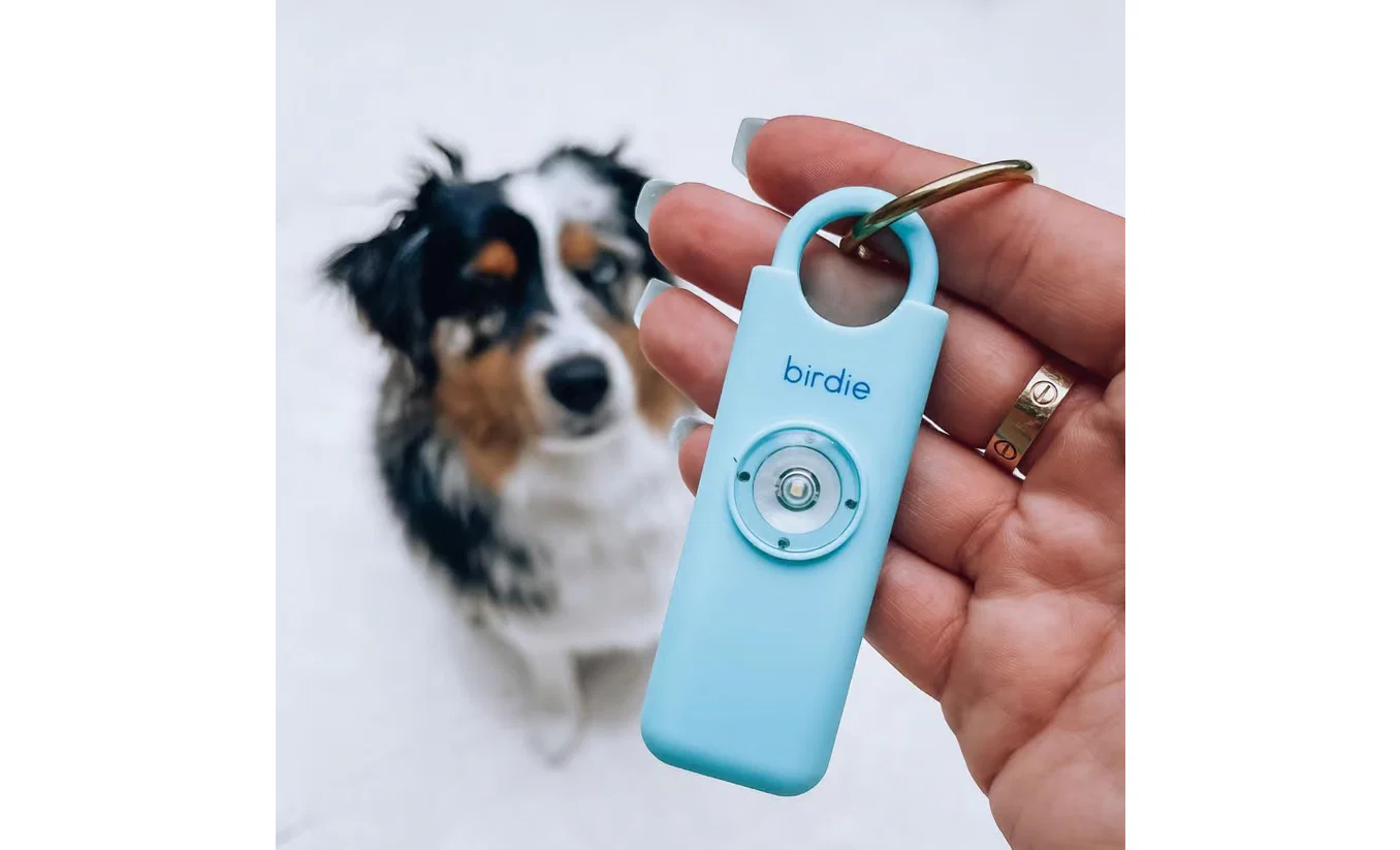 She's Birdie 3.0 Rechargeable Personal Safety Alarm - Silver - Image 4